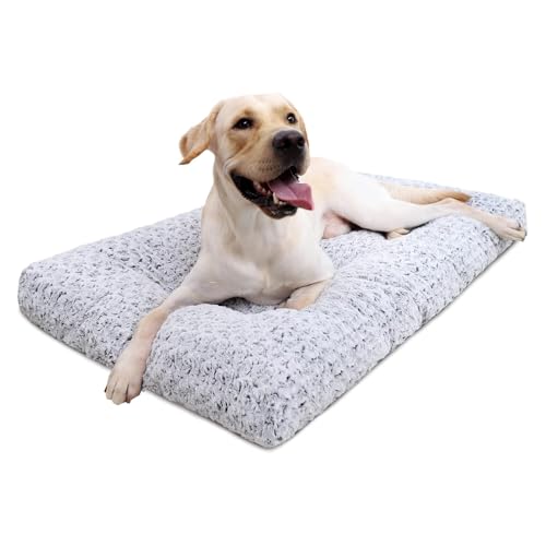 Best Crate Beds for Dogs