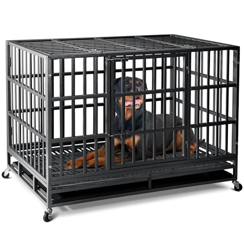 Best Crate for a Dog With Separation Anxiety
