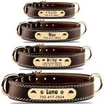 Best Custom Embossed Leather Dog Collars
