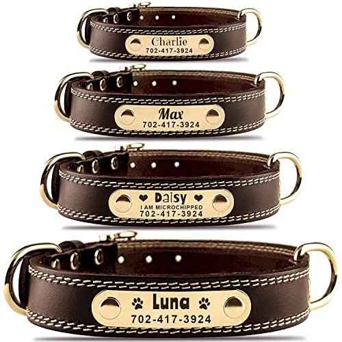 Best Custom Embossed Leather Dog Collars