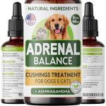 Best Diet for Dogs With Cushing'S Disease