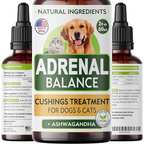 Best Diet for Dogs With Cushing'S Disease
