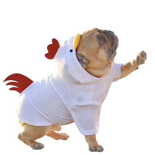 Best Dog And Owner Costumes