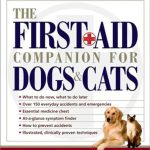 Best Dog As a Companion