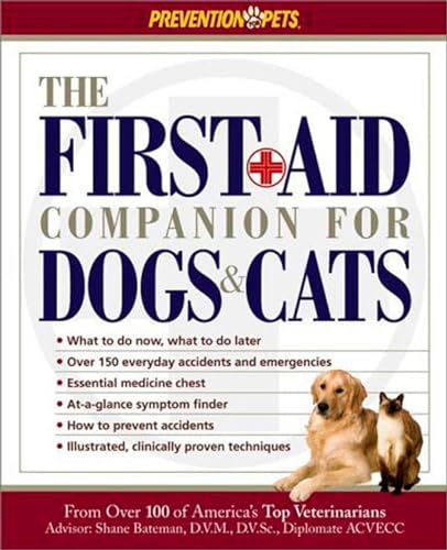 Best Dog As a Companion