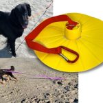 Best Dog Beach near Me