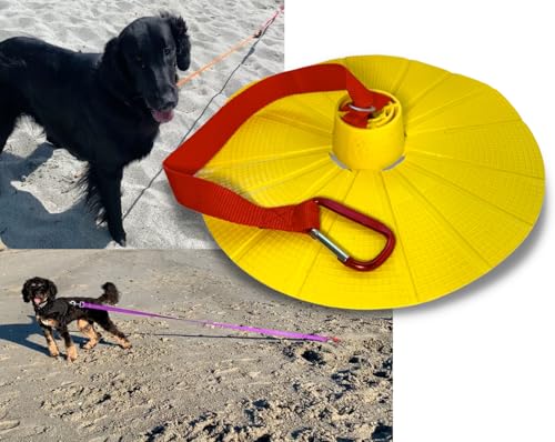 Best Dog Beach near Me