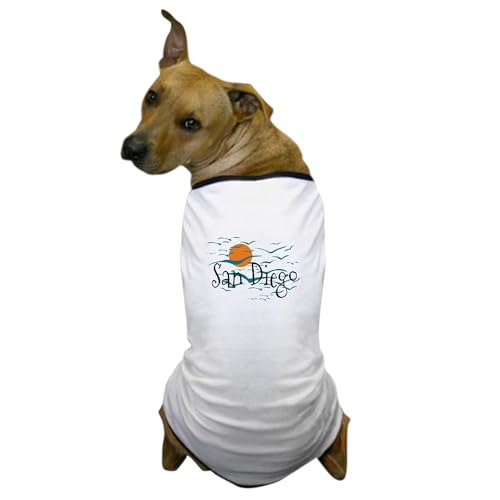 Best Dog Beach San Diego