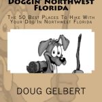 Best Dog Beaches in Florida