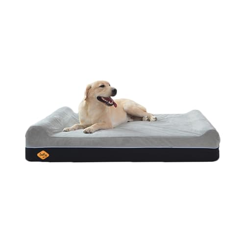 Best Dog Bed After Tplo Surgery