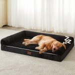 Best Dog Bed for Cavalier King Charles