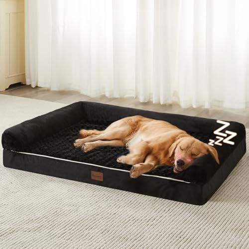 Best Dog Bed for Cavalier King Charles