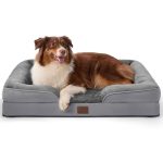 Best Dog Bed for Chewers