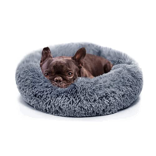 Best Dog Bed for Chihuahua