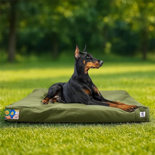Best Dog Bed for Diggers