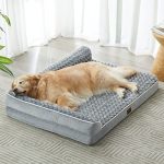 Best Dog Bed for Goldendoodle