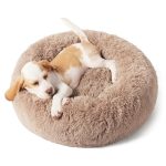 Best Dog Bed for Puppies