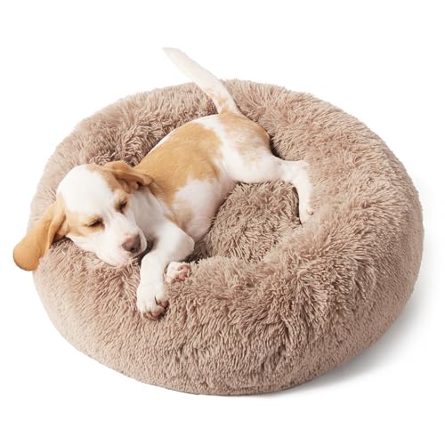 Best Dog Bed for Puppies