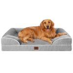 Best Dog Bed Golden Retriever