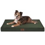 Best Dog Bedding for Outside Dogs