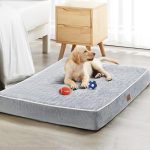 Best Dog Beds for Great Danes