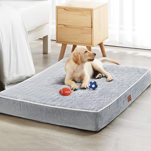 Best Dog Beds for Great Danes