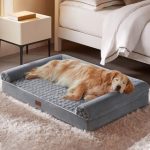 Best Dog Beds for Labradors