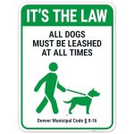 Best Dog Bite Lawyer Denver