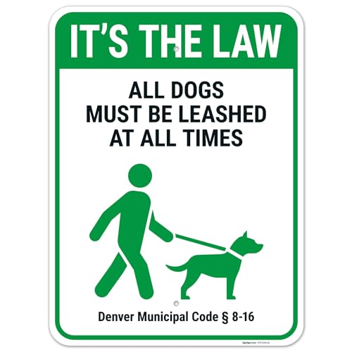 Best Dog Bite Lawyer Denver