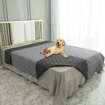 Best Dog Blankets for Bed