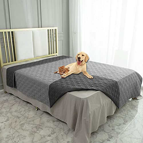 Best Dog Blankets for Bed