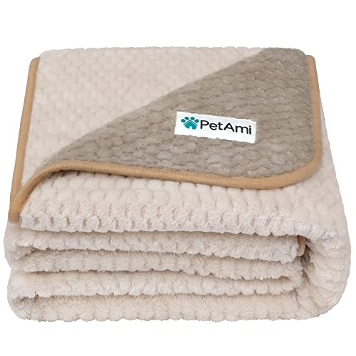 Best Dog Blankets for Couch