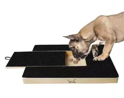 Best Dog Board And Train