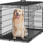 Best Dog Boarding Kennels near Me