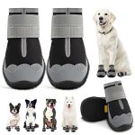 Best Dog Boots for Cactus