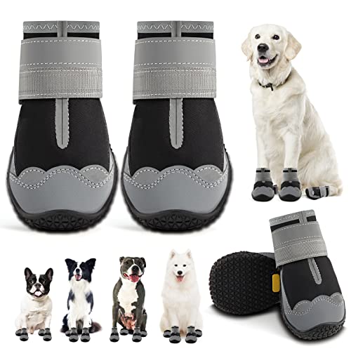 Best Dog Boots for Cactus