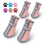 Best Dog Boots for Small Breeds