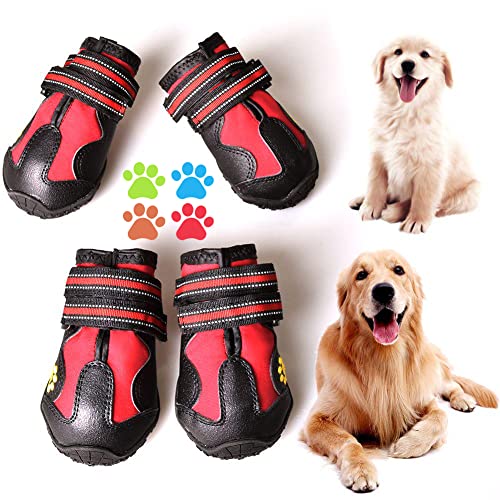 Best Dog Boots for the Snow