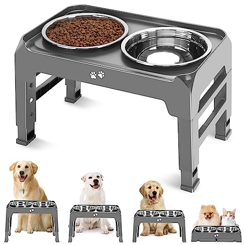 Best Dog Bowls for Golden Retrievers