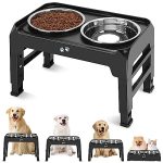 Best Dog Bowls With Stand
