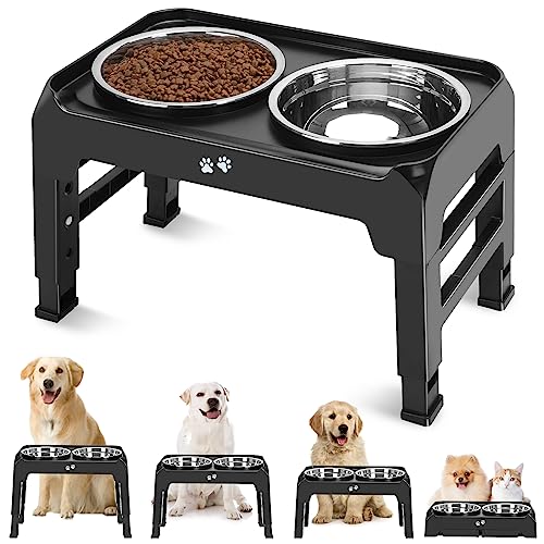 Best Dog Bowls With Stand