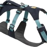 Best Dog Breed for Hiking