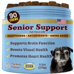 Best Dog Breed for Seniors That Don'T Shed