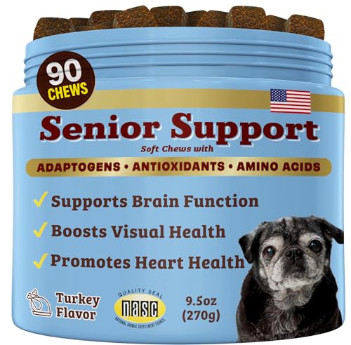Best Dog Breed for Seniors That Don'T Shed
