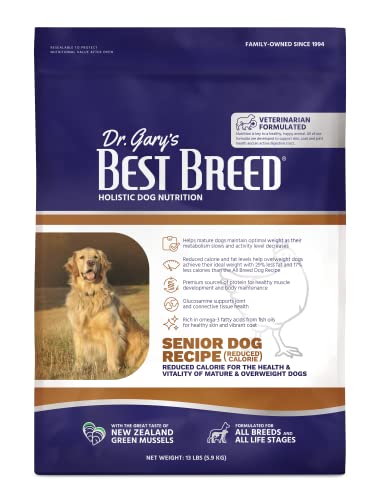 Best Dog Breed for Seniors