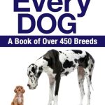 Best Dog Breeds for a Farm