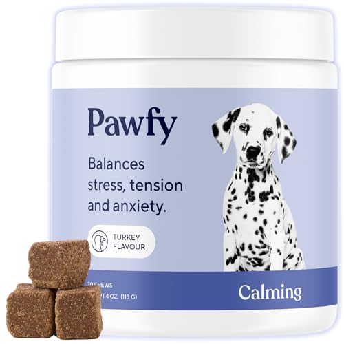 Best Dog Breeds for Anxiety And Depression