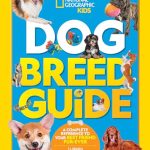 Best Dog Breeds for Autistic Child