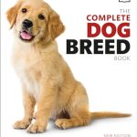 Best Dog Breeds for Men