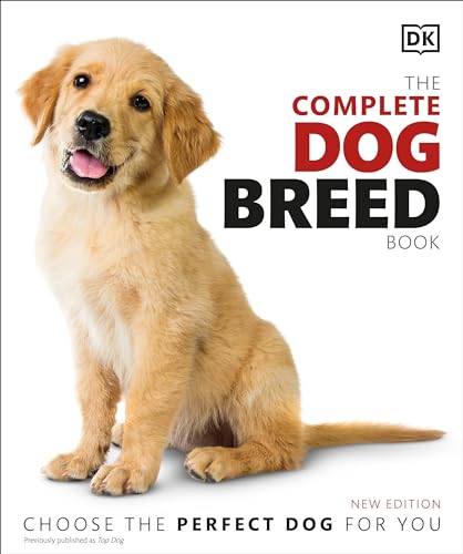 Best Dog Breeds for Men